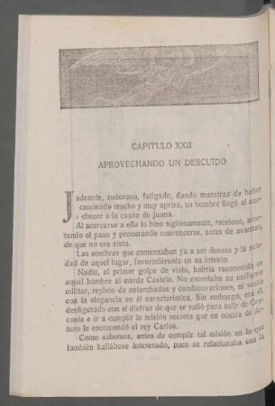 Capítulo XXII - Aprovechando un descuido