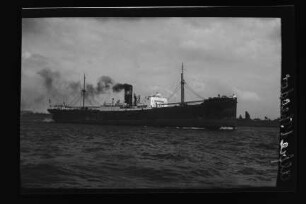 Alfred Theodor ex Reg I ex Olaf Bergh ex Rigi (1921), Schulte & Bruns, Hamburg