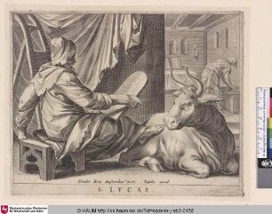S. LVCAS