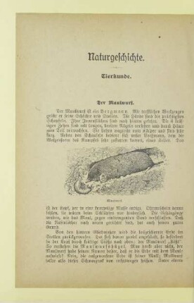 Naturgeschichte