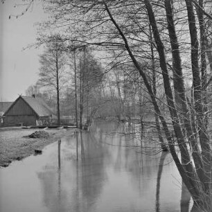 Landschaftsbild. Frühling im Spreewald. Die Wiesen sind überschwemmt. Blick auf ein Gehöft. : Wobraz krajiny. Nalěćo w Błótach. Łuki su přepławjene. Pohlad na statok.