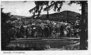 Altenberg-Bärenfels, Kurort. Ortsansicht, Ansichtskarte