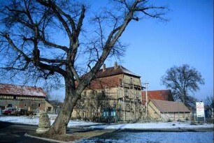 Dorfanger mit großem kahlem Laubbaum; im Hintergrund eingerüstetes Haus