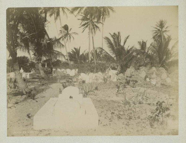 Cimetière des Indiens. 1898.