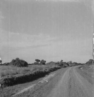 Straße : Straße durch eine Tiefebene bei Masaka