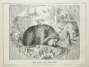The bear and the bees