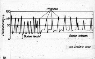 Fotospannung von Pflanzen auf trockenen und feuchten Boden