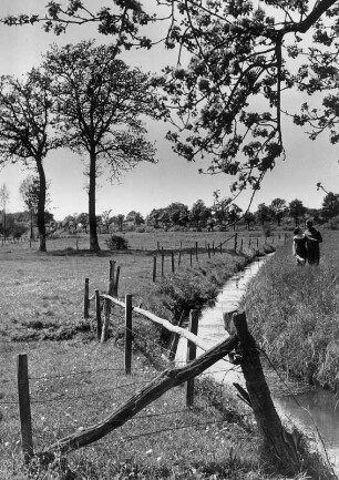 Landschaftsaufnahme im Kreis Stormarn an der Bille