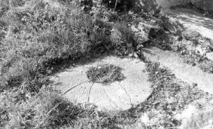 Panschwitz-Kuckau-Cannewitz. Wassermühle, Mühlstein