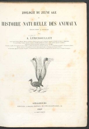 Zoologie du jeune age ou histoire naturelle des animaux : écrite pour la jeunesse