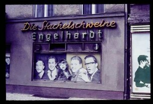 Stachelschweine, Rankestr. 25.7.64.