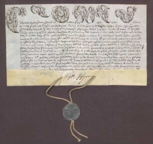 Litterae executoriales aposticae des August Philipp Christian von Hacke.