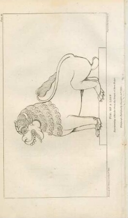 Plate 26. Fig. of al lion representing a warder from the Temple of Boro Budor