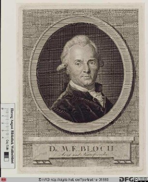 Bildnis Marcus Elieser Bloch