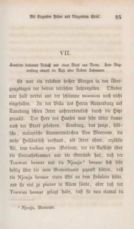 VII. Henriette bekommt Besuch und einen Brief aus Breda. Herr Ruytenburg rümpft die Nase über Robert Schumann