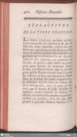 Stalactites De La Terre Végétale