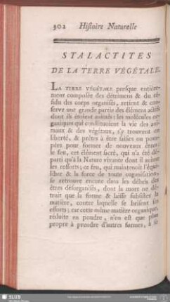 Stalactites De La Terre Végétale