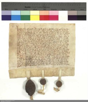 Konsens Friedrichs [von Romrod], Abt von Fulda, zum Verkauf eines Guts in Bimbach durch Heinrich von Rode und weitere namentlich genannte Personen an Adelheid und Wigand von Bimbach und Versicherung der Verkäuferr