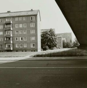 Ammonstraße