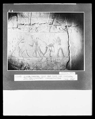Grab des Meri bei Sakkara, Erntedarstellung