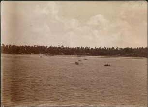 Strandblick (Hamburger Südsee-Expedition 1908-1910)