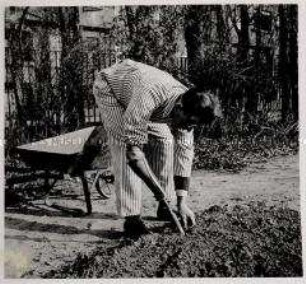 Berlin, Sport und Arbeit im Lazarett, Gartenarbeit