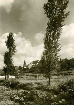 Hornbach