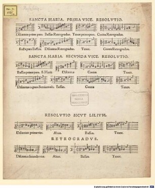 Sancta Maria (prima et secunda vice) resolutio. Resolutio sicut lilium. Retrogradus