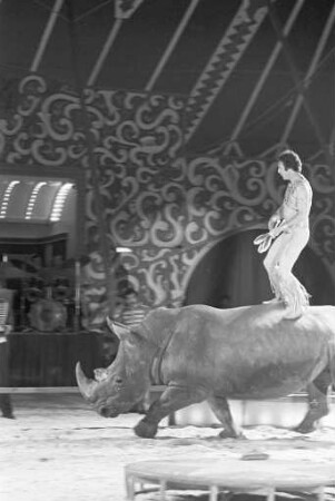 Gastspiel des Zirkus Barum auf dem Messplatz in Karlsruhe