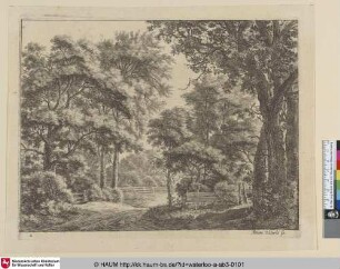 [Eine Waldlichtung mit Zaun; The trimmed groves]