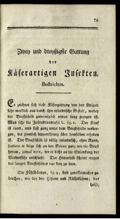 Zwey und dreyßigste Gattung der Käferartigen Insekten. Bostrichus