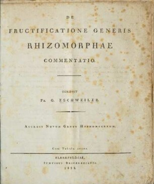 De fructificatione generis Rhizomorphae commentatio. Accedit Novum Genus Hyphomycetum ; Cum tabula aenea