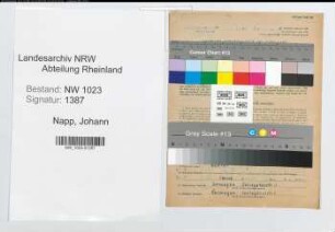 Entnazifizierung Johann Napp , geb. 21.10.1901 (Industriemeister)