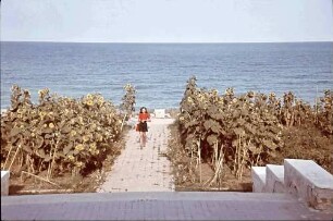 Eforie: Schwarzmeer Strand, Margarete Klein, steht an Sonnenblumen