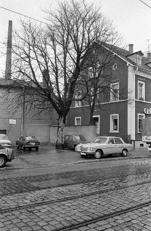 Einbetonierung eines Baumstamms auf dem Parkplatz des Kinos Roxy in der Pfinztalstraße 2