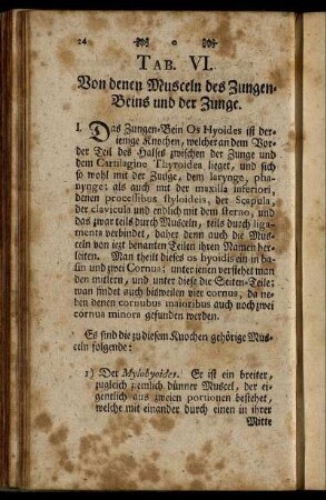 Tab. VI. Von denen Musceln des Zungen-Beins und der Zunge.