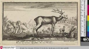 Le Cerf