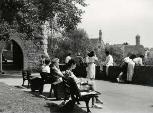 Rothenburg o. T. , im Burggarten mit Blick auf die Stadt