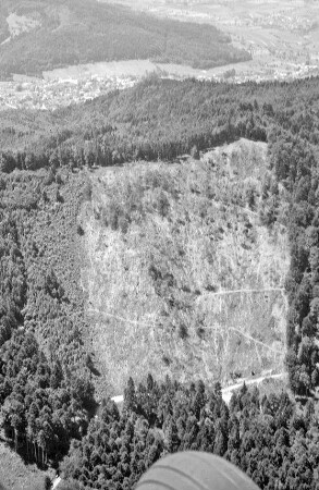 Sulzburg: Kahlschlag mit Erosion, bei Sulzburg