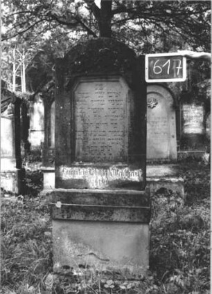 Grabstein 617 (Index: 99895313) Material: Sandstein Zustand: leicht bewachsen Maße HxBxT: 170x60x18 cm Beschreibung: Stele mit eingezogenem Rundbogenabschluss; Sockel Symbolik: Blütenbogen: Grabstein 617 (1)