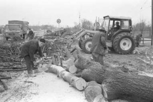 Fällung von Spitzahornbäumen an der Ettlinger Allee entlang des Floßgrabens zwischen der Schwarzwaldbrücke und der in Vorbereitung befindlichen Südrampe zur Südtangente