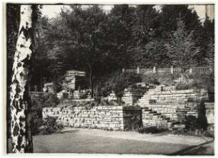 Garten Bergius, Heidelberg: Pflanzterrasse am Zaun