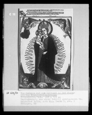 Die Madonna auf dem Halbmond in der Glorie mit den Evangelistensymbolen