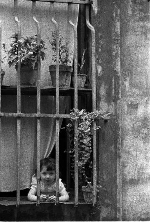 Avignon