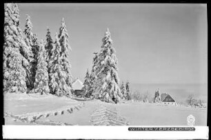 Zinnwald-Georgenfeld, Winter im Erzgebirge, am Lugsteinhof