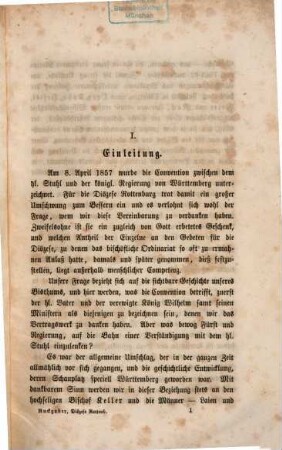 Die Diöcese Rottenburg und ihre Ankläger