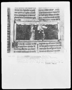 Französische Apokalypse — Die Versiegelung der Gerechten, Folio 17recto