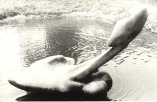 Schwimmende Form