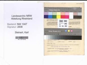 Entnazifizierung Karl Steinert , geb. 27.02.1893 (Angestellter)