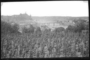 Meißen. Blick vom Martinsberg